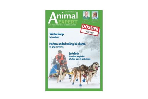 WeMedia B2B-animal expert