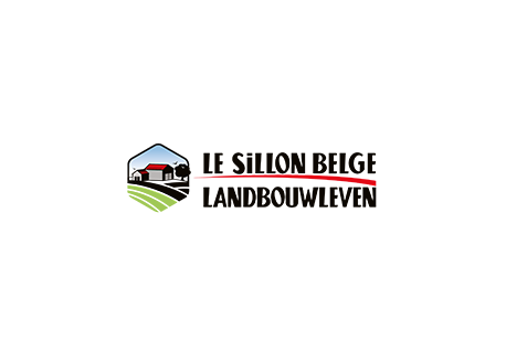 WeMedia B2B-sillon belge
