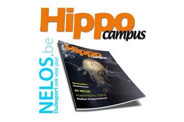 We Media C&C-hippocampus