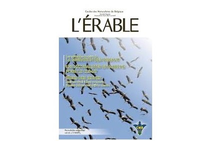 We Media C&C-l'érable