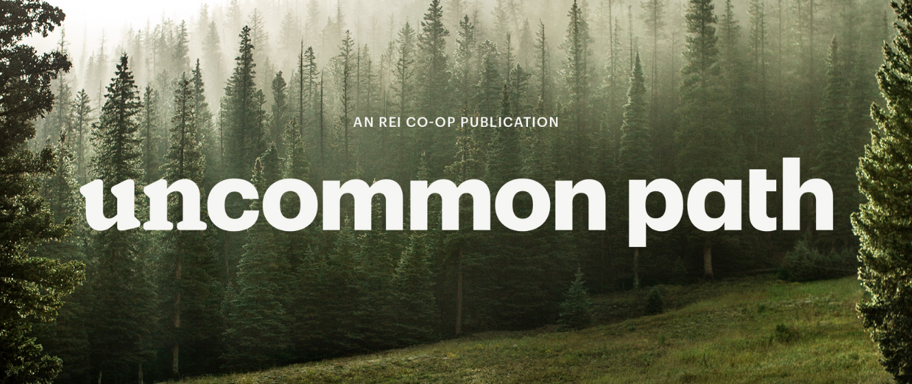 REI website Uncommon Path: foggy forest