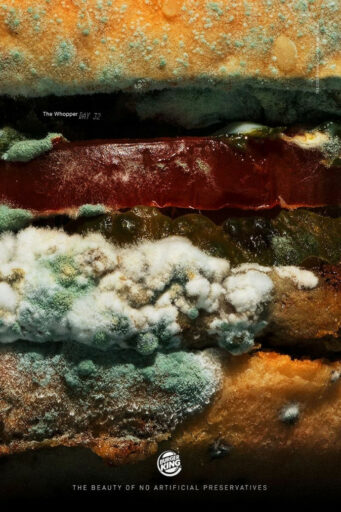 Cannes Lions Print & Publishing: Burger King Moldy Whopper print campaign