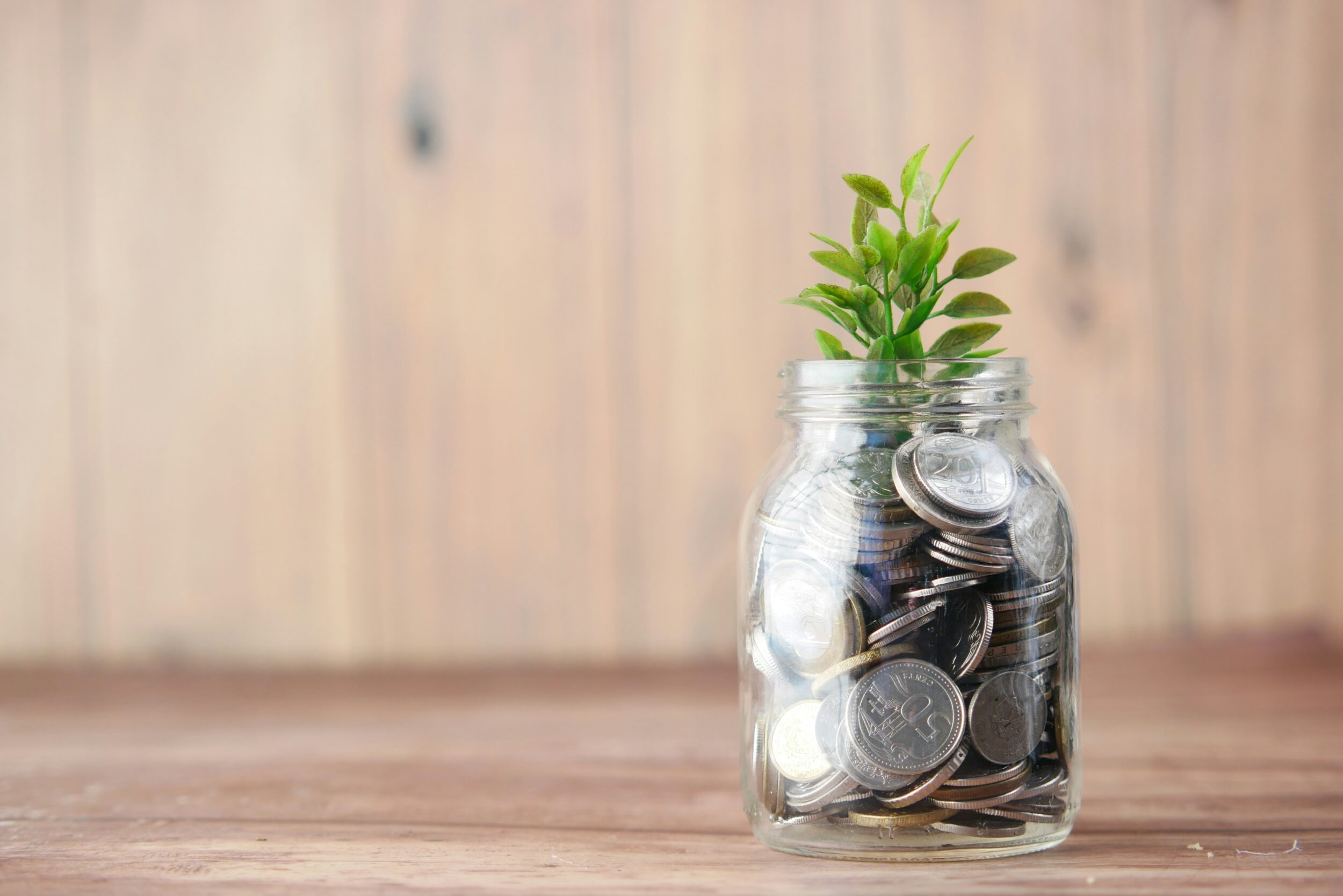 subsidies uitgevers