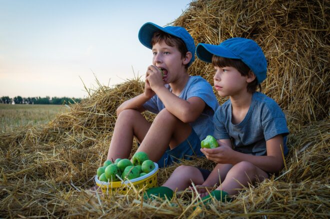 publicité denrées alimentaires