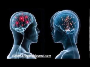 neuroscience