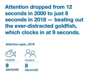 les poissons rouges vs attention humaine