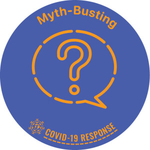 Myth-Busting Stamp United Nations